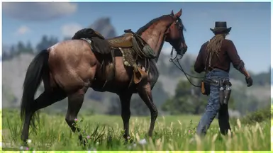 Bay Roan Thoroughbred