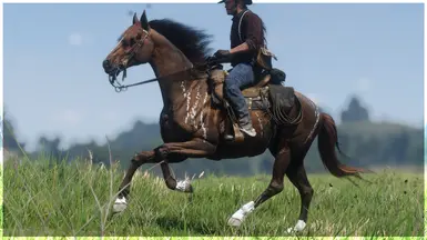 Chestnut Brindle Thoroughbred
