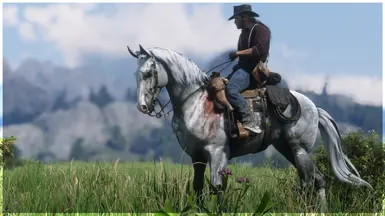 Bloody Shoulder Grey Thoroughbred