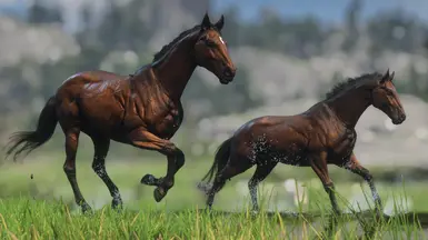 Bay Mare Duo - snickersnacck Request