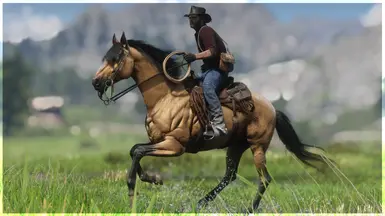 Buckskin Thoroughbred