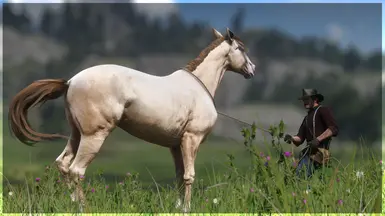 Cremello Thoroughbred
