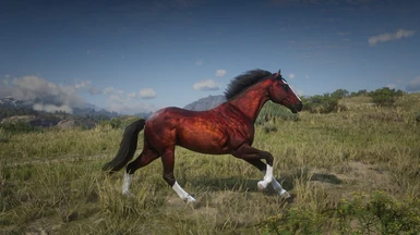 Orlov Trotter Horse Breed at Red Dead Redemption 2 Nexus - Mods and ...