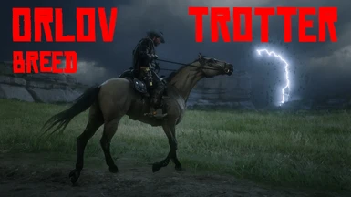 Orlov Trotter Horse Breed