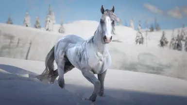 White Grey