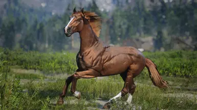 Chestnut