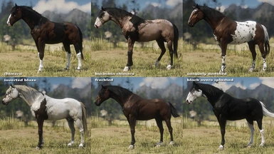 UNIQUE MARKINGS PACK - contains alt. arabian and belgian body types