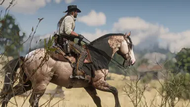 New Miscellaneous Horse Coats at Red Dead Redemption 2 Nexus - Mods and ...