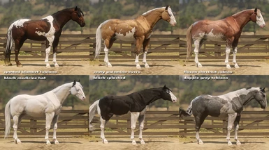 PAINT HORSE PACK - transfered from my Paint and Appaloosa's Mod