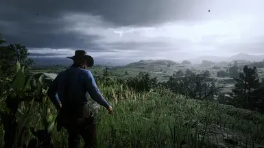 New West 2.0