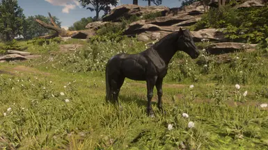 Maybe a Percheron at Red Dead Redemption 2 Nexus - Mods and community