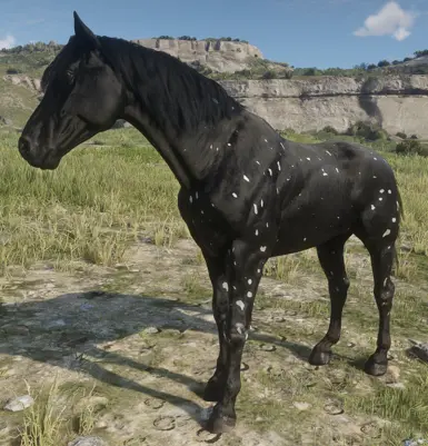 Appaloosa, Red Dead Wiki