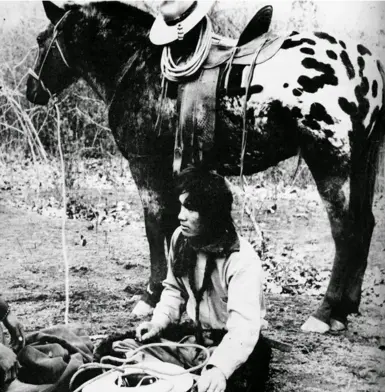 Circa. 1895 Photo of an Appaloosa which served as a main reference for how the model looks