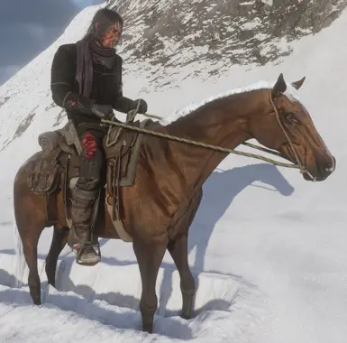John's Silver Bay Thoroughbred (Skinny Version)
