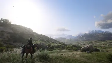 Absolute Correction for RDR2 at Red Dead Redemption 2 Nexus - Mods and ...