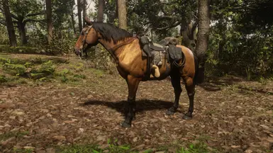 Buckskin