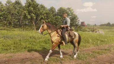 Buckskin Paint