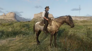 Devil's Garden Mustang Packs At Red Dead Redemption 2 Nexus - Mods And 