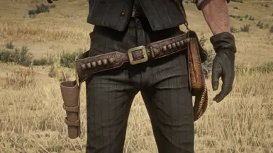 Gunbelt &amp; Holster