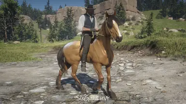 Grullo Dun Mustang Horse Coats at Red Dead Redemption 2 Nexus - Mods ...