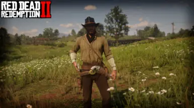 Beta Arthur or Arthurs Cover Art at Red Dead Redemption 2 Nexus - Mods and  community