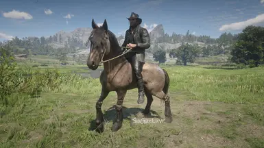 Tiger Striped Bay Mustang Horse Coats at Red Dead Redemption 2 Nexus ...