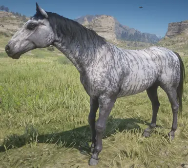 Brindle Kentucky Mountain Saddle