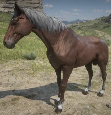 Flaxen Chestnut Thoroughbred