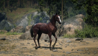 Zyre's Arabian Coats at Red Dead Redemption 2 Nexus - Mods and community