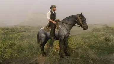 Blue Roan