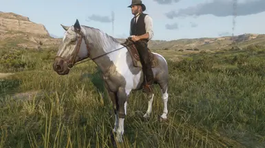 Grey Tobiano
