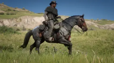 Bay Roan