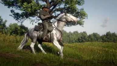 Silver Tobiano