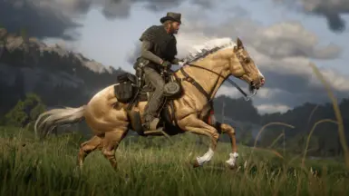 Palomino