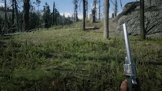 Schofield Showcase