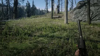 Double Action Revolver Showcase