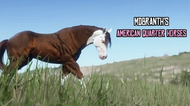 MDBranth's American Quarter Horses