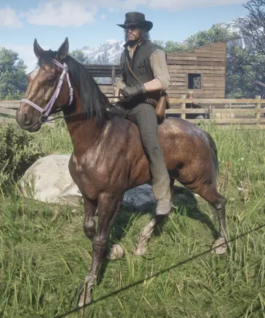 The pale rider at Red Dead Redemption 2 Nexus - Mods and community