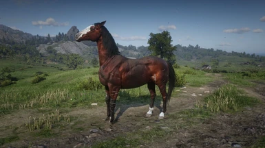 Dark Horse at Red Dead Redemption 2 Nexus - Mods and community