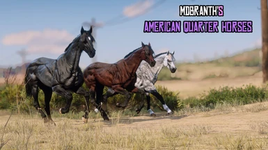 MDBranth's American Quarter Horses
