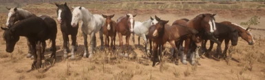 Draft Horses/Mules