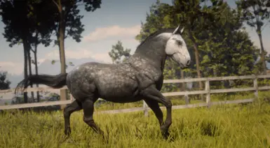 Dark Dapple Grey