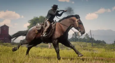 The Percheron Horse