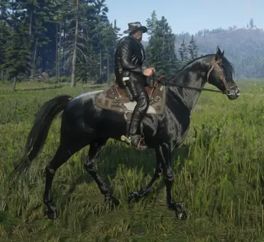 arabian-black for Always a wet horse.zip