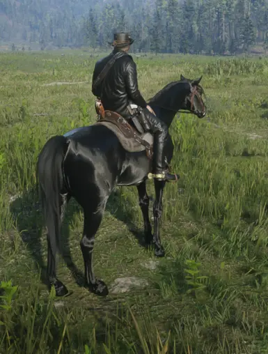 arabian-black for Always a wet horse.zip