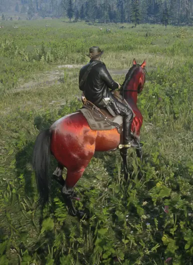 Arabian_Redchestnut_pc for Always a wet horse.zip 