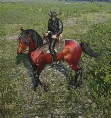 Arabian_Redchestnut_pc for Always a wet horse.zip 
