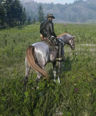 Arabian_Rosegreybay for Always a wet horse.zip 