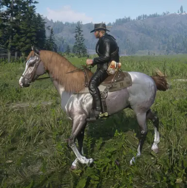 Arabian_Rosegreybay for Always a wet horse.zip 