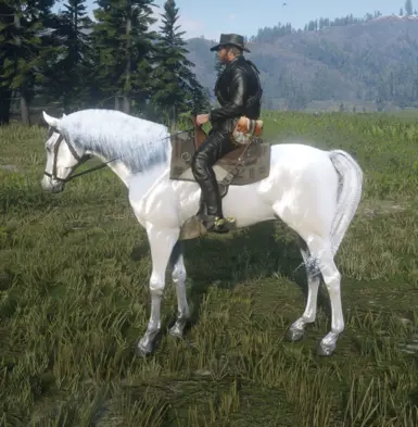 Arabian_White for Always a wet horse.zip